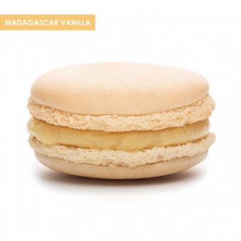 Madagascar vanilla macaron